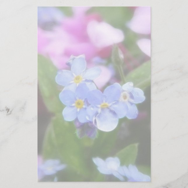 春の花-忘れ私の鼻と赤い芽 (正面)