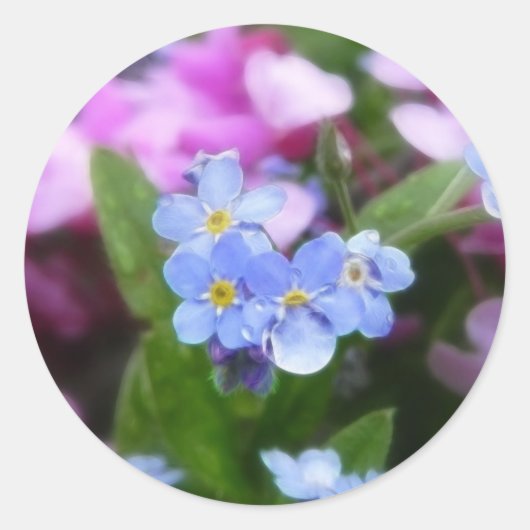 春の花-忘れ私の鼻と赤い芽 ラウンドシール (正面)