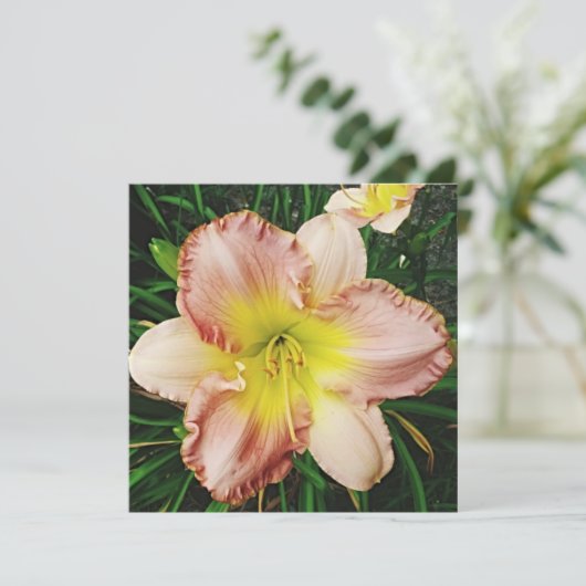 春の花 招待状 (スタンド正面)