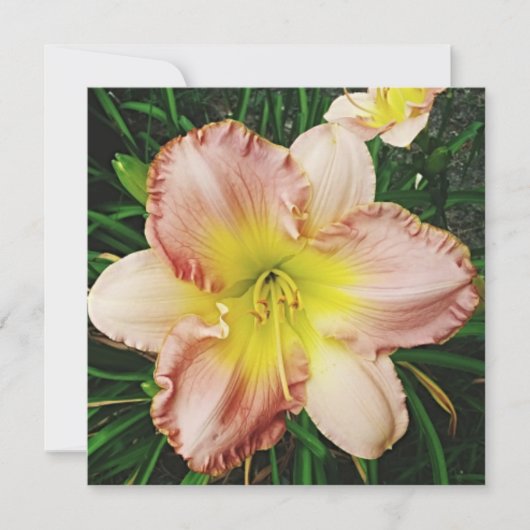 春の花 招待状 (正面)