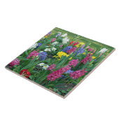 春の花、草地 タイル (側面)