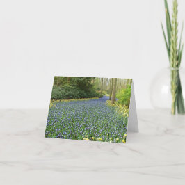 春の花- Hyacinthsの川 カード
