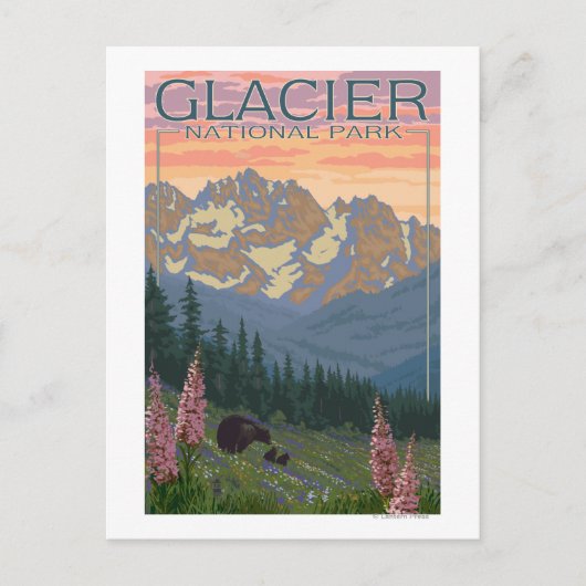 春の花- MT(Glacier National Park) ポストカード (正面)