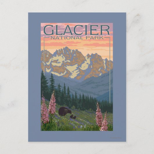 春の花- MT(Glacier National Park) ポストカード (正面)