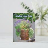 春の花Napaからの挨拶 ポストカード (スタンド正面)