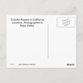 春の花Napaからの挨拶 ポストカード (裏面)