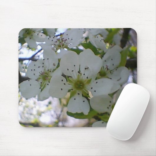 春の華が咲く マウスパッド (マウス)