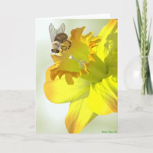 春の蜂 カード (正面)