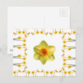 春の訪れ ポストカード (正面/裏面)