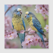 春の調和：青と黄色の仲間 (正面)