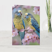 春の調和：青と黄色の仲間 カード (裏面)