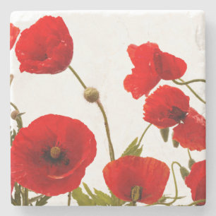 春の赤いケシによっては花の白く粋なかわいいが開花します ストーンコースター