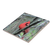 春の赤く基本的な(男性の)装飾的なタイル タイル (側面)