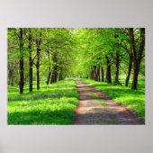 春の道 ポスター (正面)