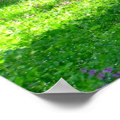 春の道 ポスター (角)