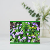 春の郵便はがき ポストカード (スタンド正面)