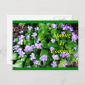 春の郵便はがき ポストカード (正面/裏面)