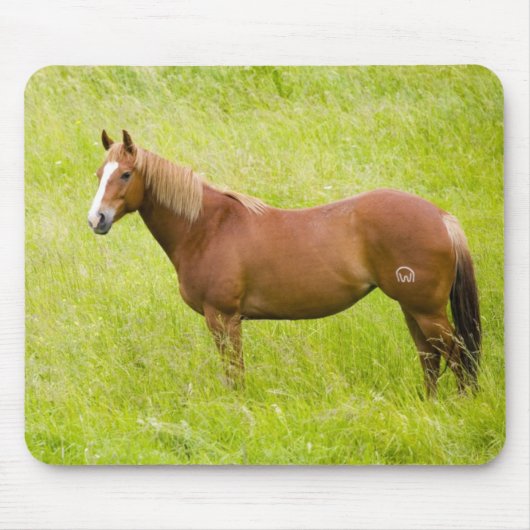 春の野原の馬 マウスパッド (正面)