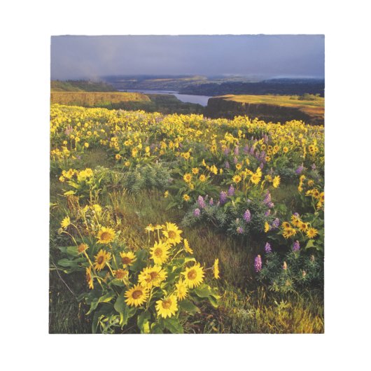 春の野生の花がトムで豊富に ノートパッド (正面)