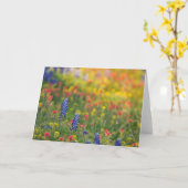 春の野生の花 カード (黄色い花)