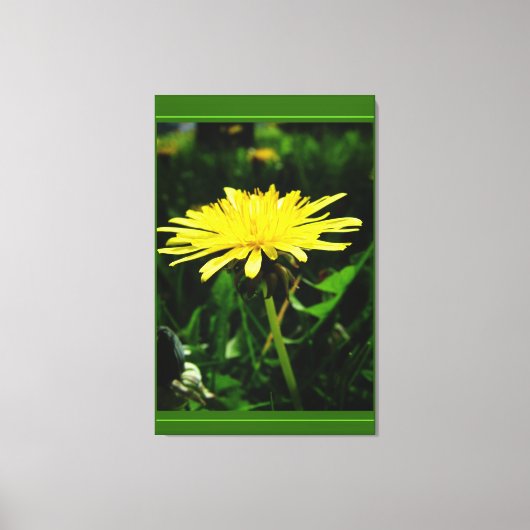 春の野生の黄色いタンポポの花の緑 キャンバスプリント (正面)