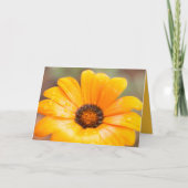 春の閃光 アフリカのデイジー クローズアップ 写真テンプレート カード (正面)