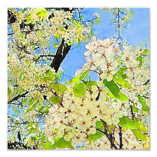 春の開花木の水の色の写真の拡大 フォトプリント            (正面)