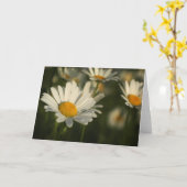 春の開花 カード (黄色い花)