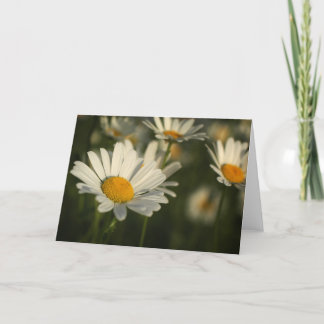 春の開花 カード