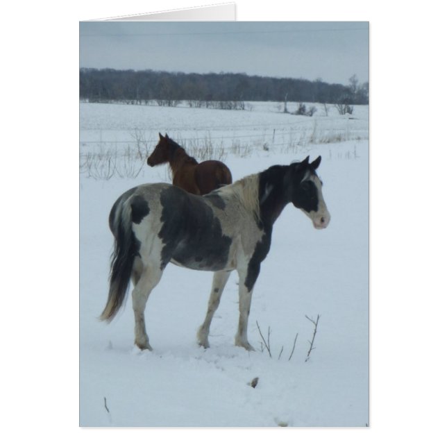 春の間慕うこと (正面)