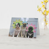 春の間用意して下さい カード (黄色い花)