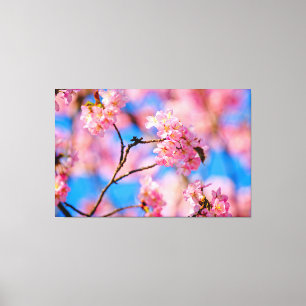 春の陽の光が降り注ぐ日に咲く、愛らしい桜の花 キャンバスプリント