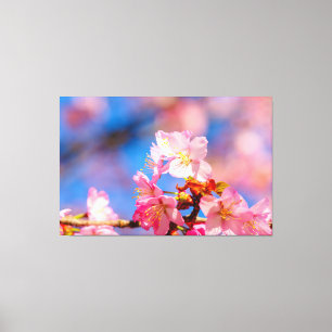春の陽の光に満ちた日に咲くピンクの桜の花 キャンバスプリント