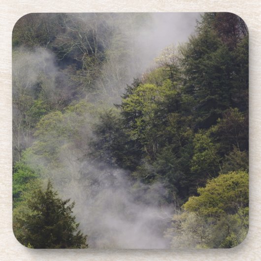 春の雨後の山腹から立ち上る霧、 コースター (正面)