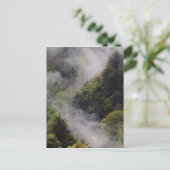 春の雨後の山腹から立ち上る霧、 ポストカード (スタンド正面)