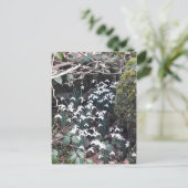 春の雪はがき ポストカード (スタンド正面)