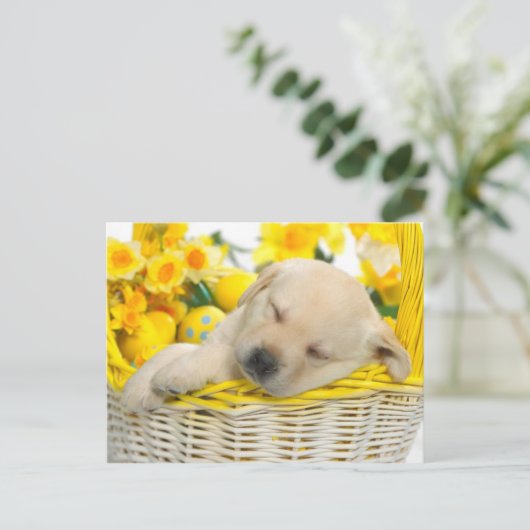 春の雪 ポストカード (スタンド正面)