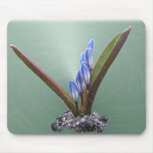 春の青い渦巻の~のmousepad マウスパッド (正面)