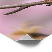 春の静寂：かわいい雀 ポスター (角)