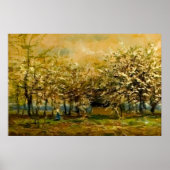 春の静寂:日に照らされた枝穏やかな風 ポスター (正面)