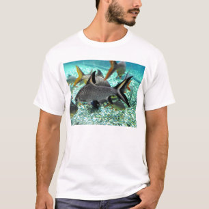 春の魚、スペインの群れ Tシャツ