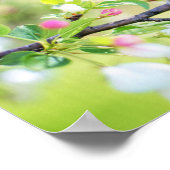 春の鳥 ポスター (角)