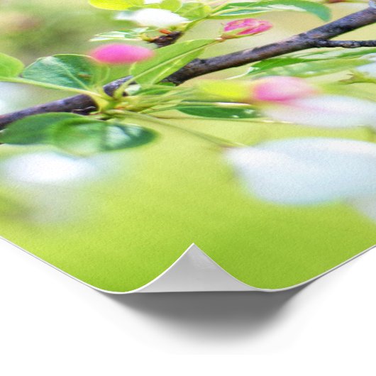 春の鳥 ポスター (角)