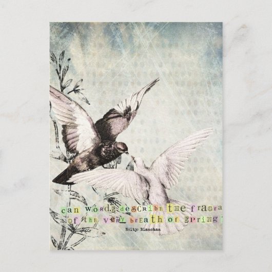 春の鳥 ポストカード (正面)