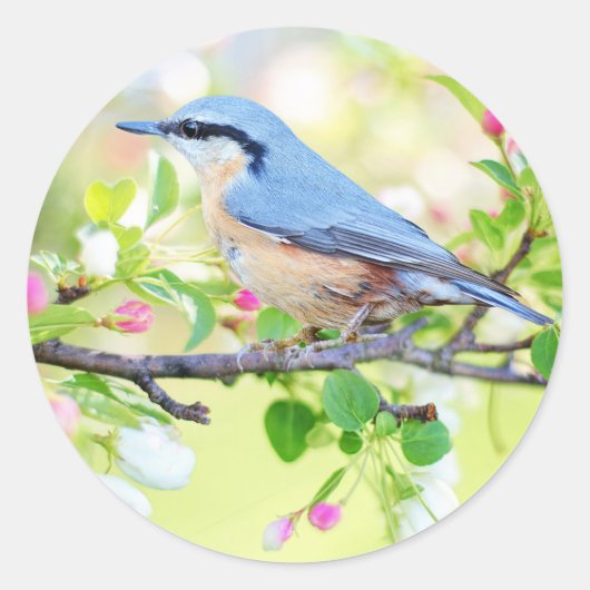 春の鳥 ラウンドシール (正面)