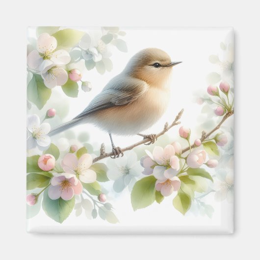 春の鳥 桜の花 水彩画 マグネット (正面)