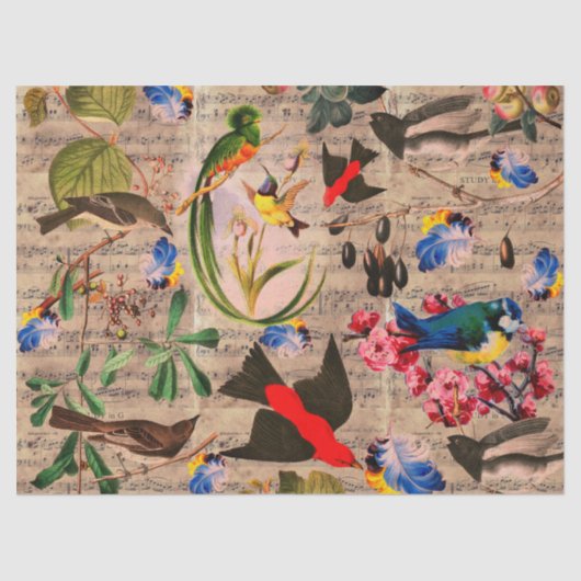 春の鳥、羽、フルーツのフローラミュージックノート 薄葉紙 (正面)