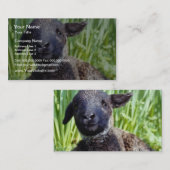 春の黄色い子羊、イギリスの花 名刺 (正面/裏面)