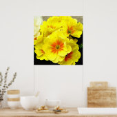 春の黄色のプリムラ ポスター (キッチン)