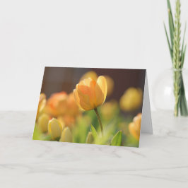 春の黄色の花のグリーティングカード カード